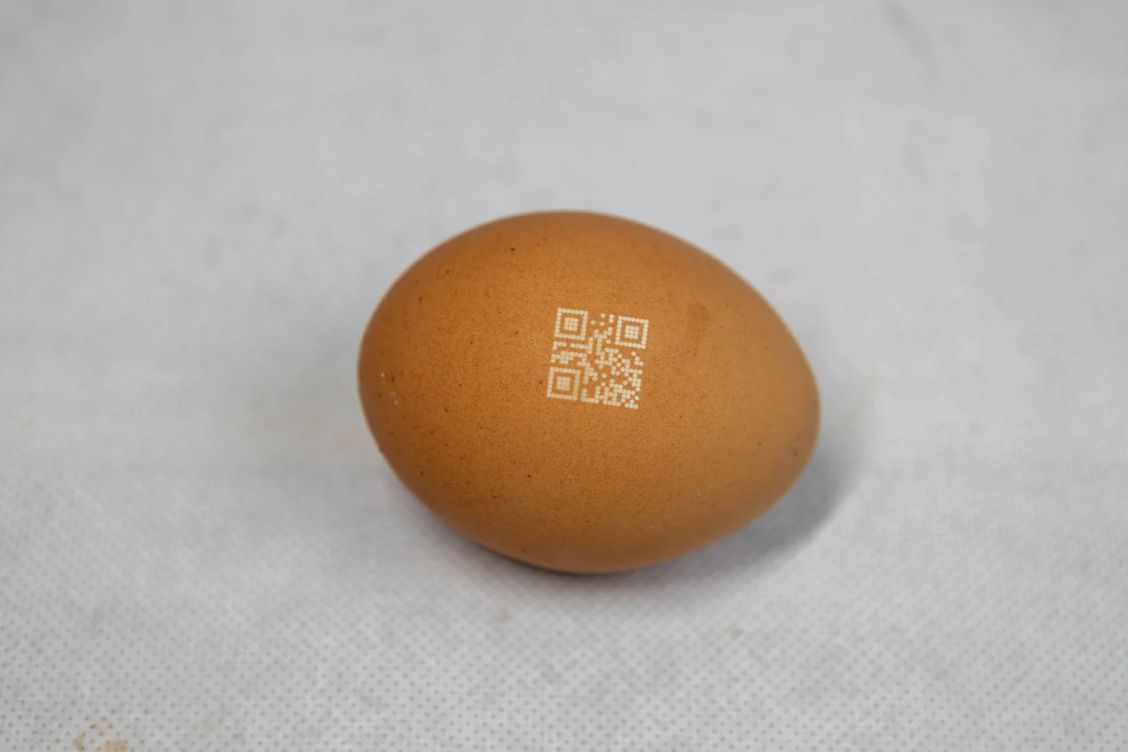 QR-Code-Testmuster direkt auf einer braunen Eierschale lasermarkiert